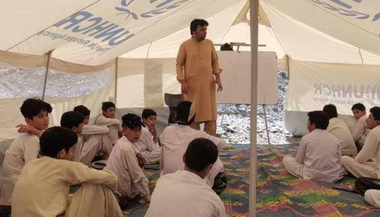 e87bfc8e-db22-4293-9075-bdb7a271646e